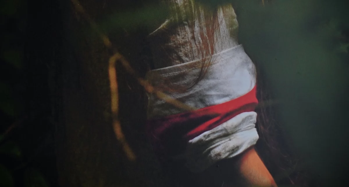 Fot. Tomasz Ertman 