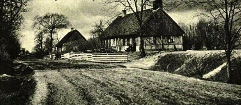 Zdjęcie Marta Przygoda - fotografia