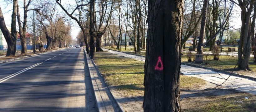 Zdjęcie Andrzej Gąsiorowski - fotografia