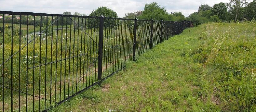 Zdjęcie Paweł R - fotografia