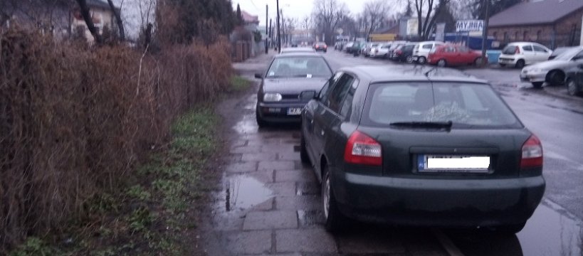 Zdjęcie Paweł Kamiński - fotografia