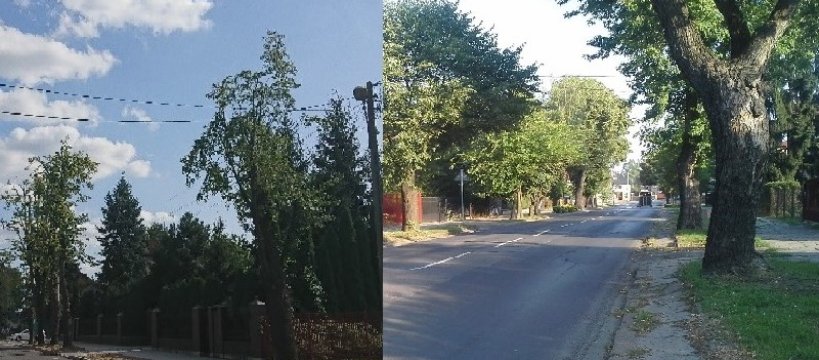 Zdjęcie Dominika Myszkowska - fotografia