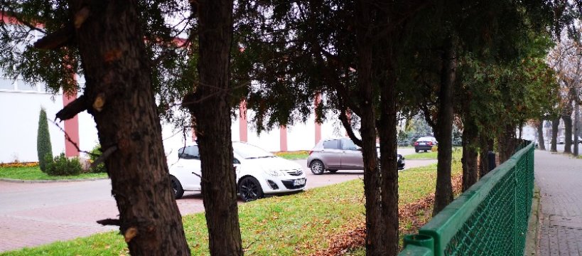 Zdjęcie Dominika Myszkowska - fotografia