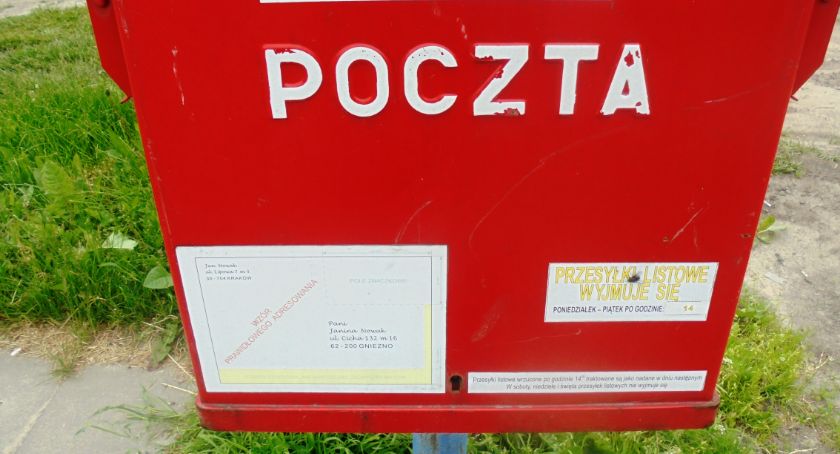 Zdjęcie Sebastian Wasilewski - fotografia