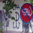 zdjęcie nr 36
