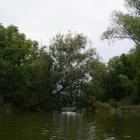 zdjęcie nr 35