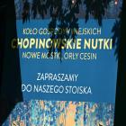 zdjęcie nr 17