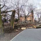 zdjęcie nr 8