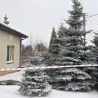 zdjęcie nr 5
