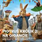 Fotka nr 1 z 4