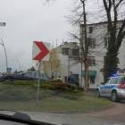 zdjęcie nr 1