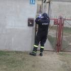 Fotka nr 3 z 6