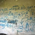 Fotka nr 3 z 83