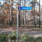 zdjęcie nr 9