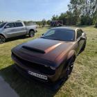 zdjęcie nr 105