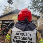 Fotka nr 5 z 6