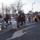 zdjęcie nr 14