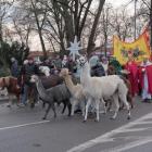 zdjęcie nr 25