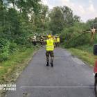 Fotka nr 3 z 11