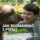 Fotka nr 3 z 6