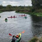 zdjęcie nr 1