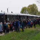 zdjęcie nr 31