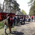 zdjęcie nr 55