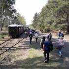 zdjęcie nr 59