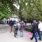 zdjęcie nr 8