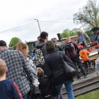 zdjęcie nr 42