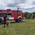 Fotka nr 2 z 24