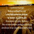 zdjęcie nr 9