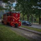 zdjęcie nr 55