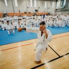 zdjęcie nr 5