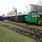 Fotka nr 5 z 100