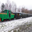 zdjęcie nr 10