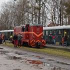 zdjęcie nr 12