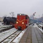 zdjęcie nr 13