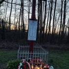 zdjęcie nr 7