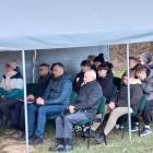 zdjęcie nr 14