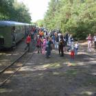 zdjęcie nr 8