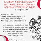Fotka nr 5 z 6