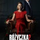 Fotka nr 2 z 4