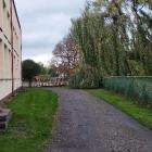 zdjęcie nr 5