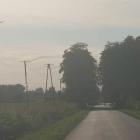 zdjęcie nr 14
