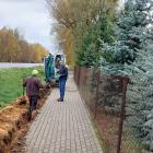zdjęcie nr 16