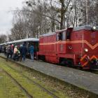 zdjęcie nr 17