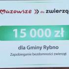 Fotka nr 5 z 7