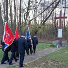 zdjęcie nr 7
