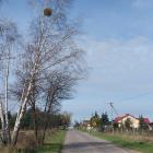 zdjęcie nr 7